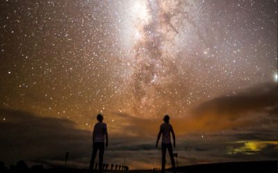 Have you ever wondered?